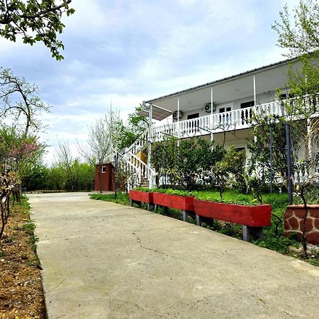 Hilltop Guest House Kutaisi Exteriör bild